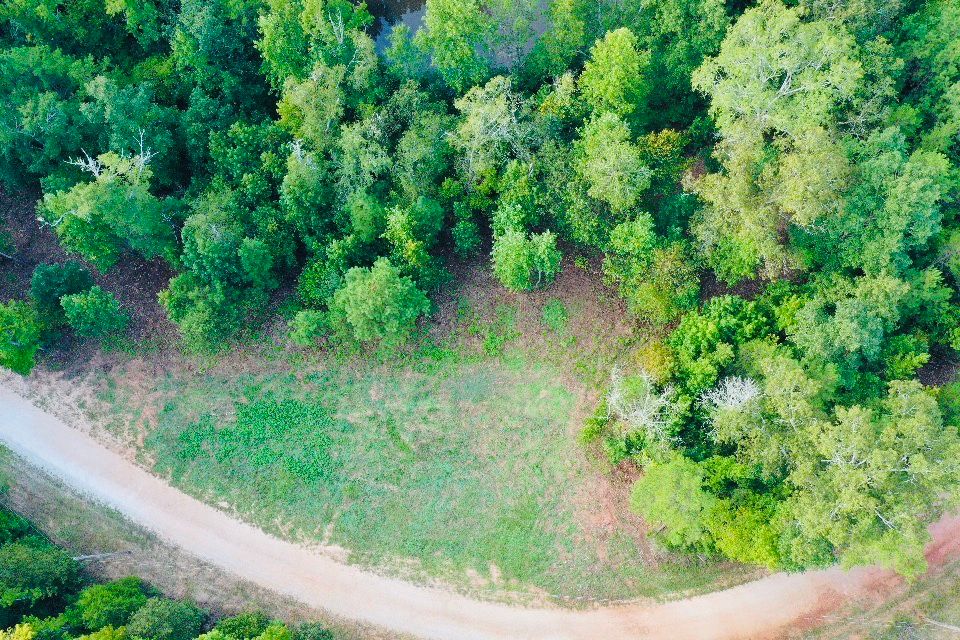 Lot 33 Woodgate Shores Dr: Lot 33 Woodgate Shores Dr, Wedowee, AL 36278